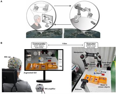 EEG-controlled tele-grasping for undefined objects
